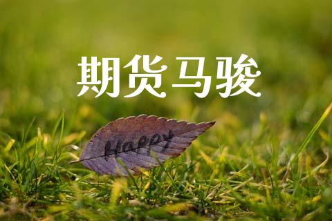 期货马骏_https://m.eyunqq.com_新股申购_第1张