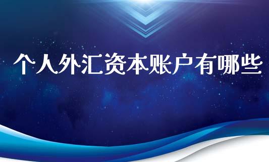 个人外汇资本账户有哪些_https://m.eyunqq.com_基金交易_第1张