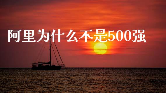 阿里为什么不是500强_https://m.eyunqq.com_期货投资学习_第1张