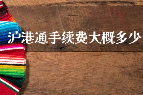 沪港通手续费大概多少_https://m.eyunqq.com_期货投资学习_第1张