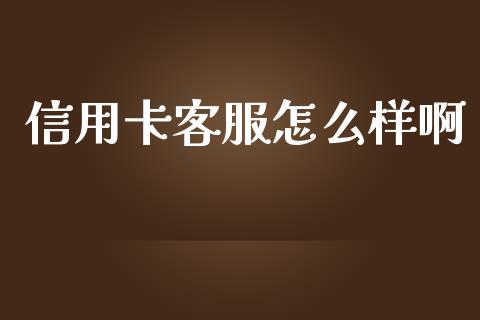 信用卡客服怎么样啊_https://m.eyunqq.com_期货投资学习_第1张
