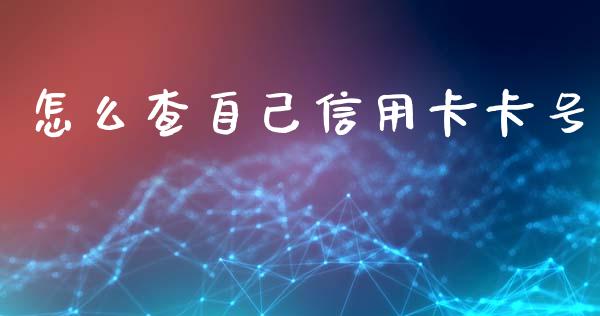 怎么查自己信用卡卡号_https://m.eyunqq.com_新股申购_第1张
