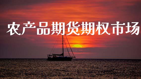 农产品期货期权市场_https://m.eyunqq.com_基金交易_第1张