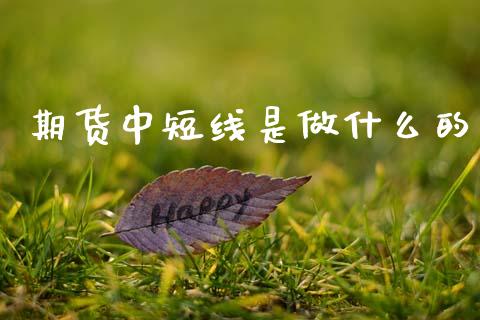 期货中短线是做什么的_https://m.eyunqq.com_期货投资学习_第1张