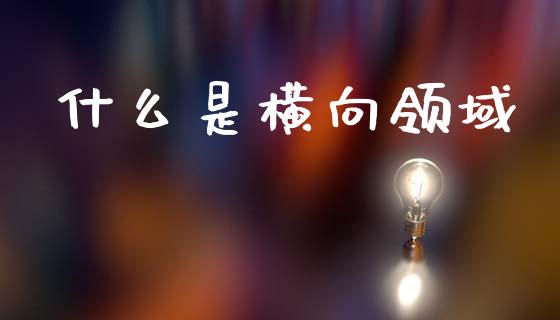 什么是横向领域_https://m.eyunqq.com_新股申购_第1张