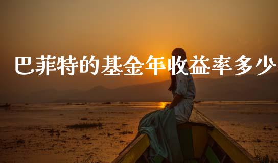 巴菲特的基金年收益率多少_https://m.eyunqq.com_融资融券_第1张