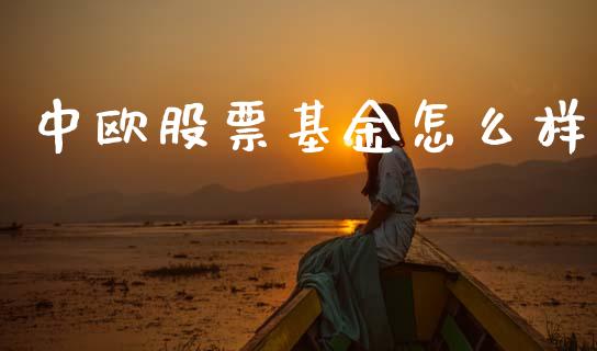 中欧股票基金怎么样_https://m.eyunqq.com_新股申购_第1张