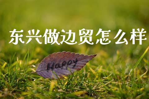 东兴做边贸怎么样_https://m.eyunqq.com_新股申购_第1张