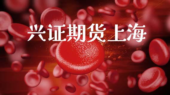 兴证期货上海_https://m.eyunqq.com_基金交易_第1张
