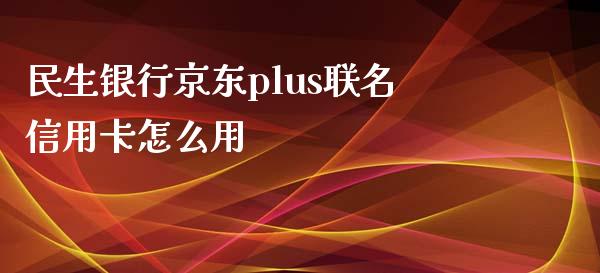 民生银行京东plus联名信用卡怎么用_https://m.eyunqq.com_新股申购_第1张