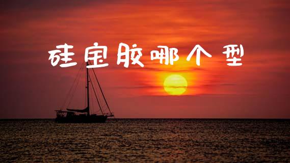 硅宝胶哪个型_https://m.eyunqq.com_融资融券_第1张