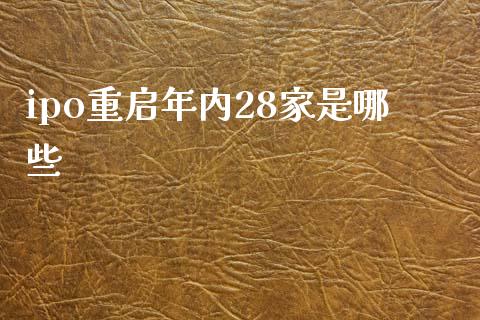ipo重启年内28家是哪些_https://m.eyunqq.com_融资融券_第1张