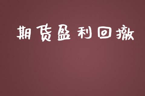 期货盈利回撤_https://m.eyunqq.com_融资融券_第1张