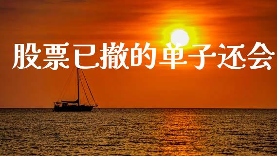 股票已撤的单子还会_https://m.eyunqq.com_期货投资学习_第1张