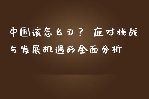中国该怎么办？ 应对挑战与发展机遇的全面分析_https://m.eyunqq.com_期货投资学习_第1张