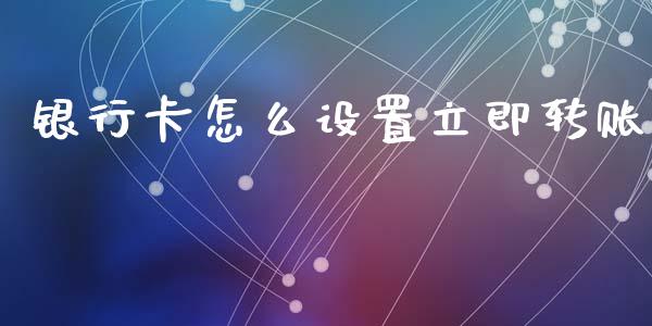 银行卡怎么设置立即转账_https://m.eyunqq.com_期货投资学习_第1张