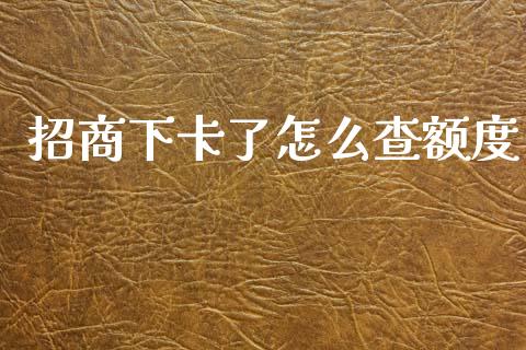 招商下卡了怎么查额度_https://m.eyunqq.com_期货投资学习_第1张
