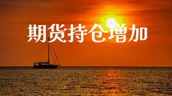 期货持仓增加_https://m.eyunqq.com_期货投资学习_第1张