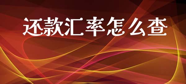 还款汇率怎么查_https://m.eyunqq.com_基金交易_第1张