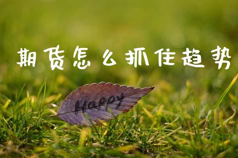 期货怎么抓住趋势_https://m.eyunqq.com_基金交易_第1张