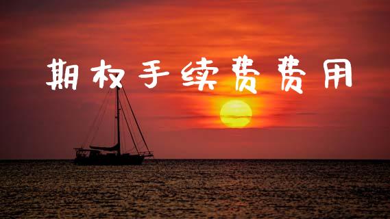 期权手续费费用_https://m.eyunqq.com_新股申购_第1张
