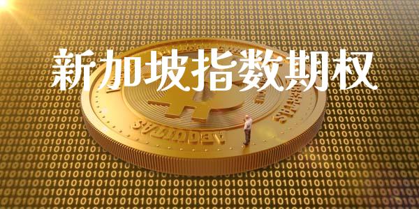 新加坡指数期权_https://m.eyunqq.com_期货投资学习_第1张