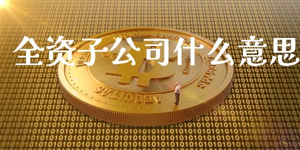 全资子公司什么意思_https://m.eyunqq.com_融资融券_第1张