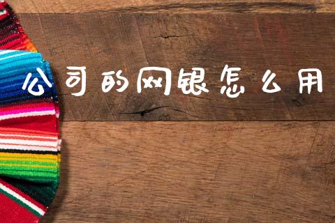 公司的网银怎么用_https://m.eyunqq.com_期货投资学习_第1张