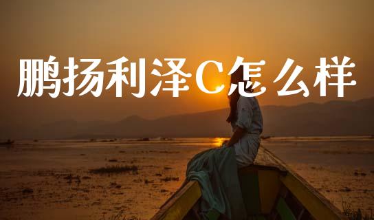 鹏扬利泽C怎么样_https://m.eyunqq.com_新股申购_第1张