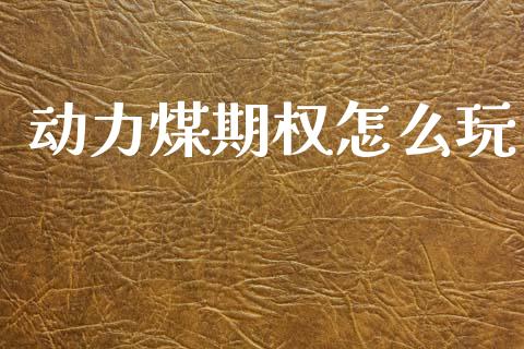 动力煤期权怎么玩_https://m.eyunqq.com_融资融券_第1张