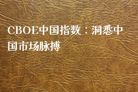 CBOE中国指数：洞悉中国市场脉搏_https://m.eyunqq.com_融资融券_第1张