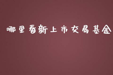 哪里看新上市交易基金_https://m.eyunqq.com_期货投资学习_第1张