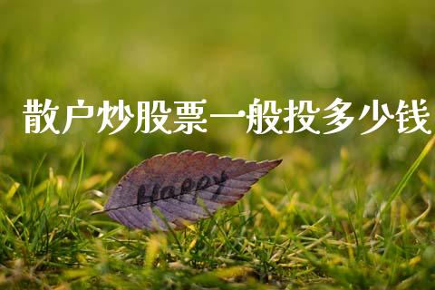 散户炒股票一般投多少钱_https://m.eyunqq.com_期货投资学习_第1张