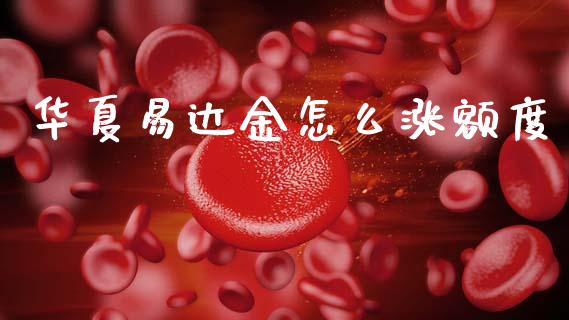 华夏易达金怎么涨额度_https://m.eyunqq.com_基金交易_第1张