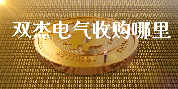双杰电气收购哪里_https://m.eyunqq.com_融资融券_第1张