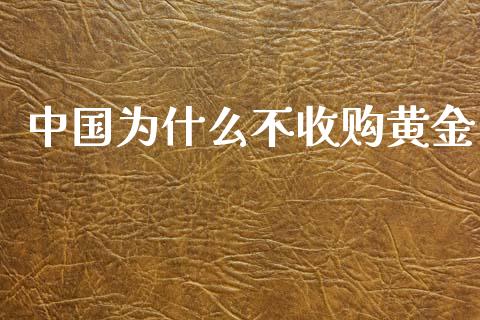 中国为什么不收购黄金_https://m.eyunqq.com_基金交易_第1张