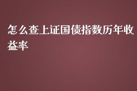 怎么查上证国债指数历年收益率_https://m.eyunqq.com_融资融券_第1张