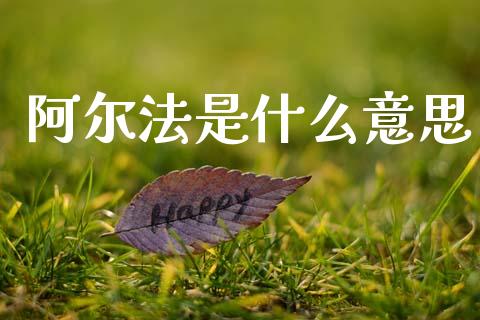 阿尔法是什么意思_https://m.eyunqq.com_融资融券_第1张