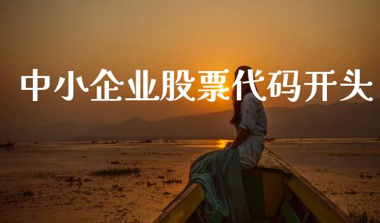 中小企业股票代码开头_https://m.eyunqq.com_期货投资学习_第1张