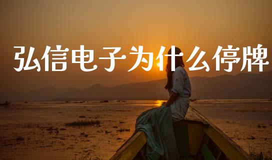 弘信电子为什么停牌_https://m.eyunqq.com_期货投资学习_第1张