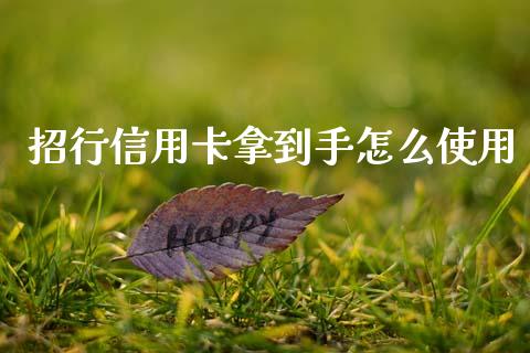 招行信用卡拿到手怎么使用_https://m.eyunqq.com_期货投资学习_第1张