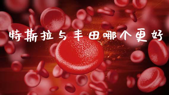 特斯拉与丰田哪个更好_https://m.eyunqq.com_期货投资学习_第1张
