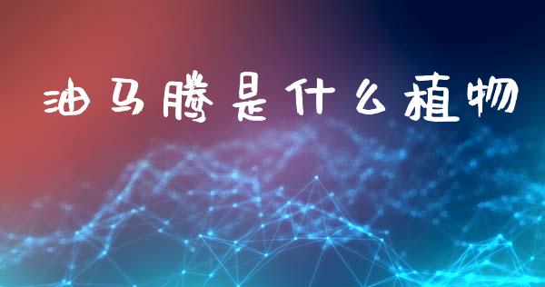 油马腾是什么植物_https://m.eyunqq.com_基金交易_第1张