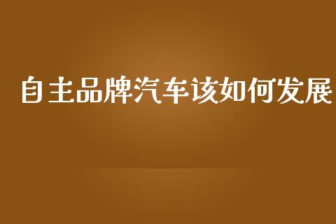 自主品牌汽车该如何发展_https://m.eyunqq.com_新股申购_第1张