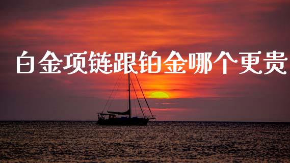 白金项链跟铂金哪个更贵_https://m.eyunqq.com_期货投资学习_第1张