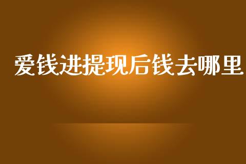 爱钱进提现后钱去哪里_https://m.eyunqq.com_基金交易_第1张