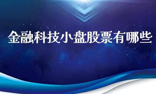 金融科技小盘股票有哪些_https://m.eyunqq.com_新股申购_第1张