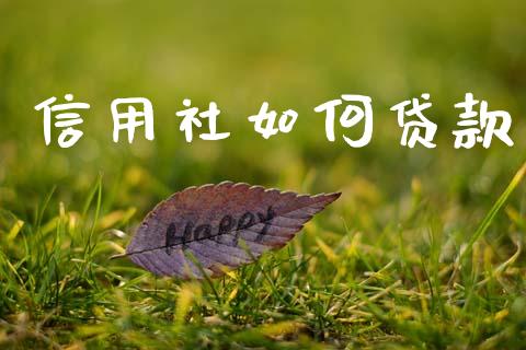 信用社如何贷款_https://m.eyunqq.com_新股申购_第1张