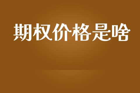 期权价格是啥_https://m.eyunqq.com_新股申购_第1张