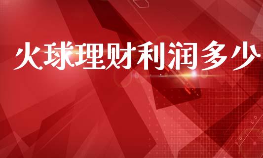 火球理财利润多少_https://m.eyunqq.com_基金交易_第1张
